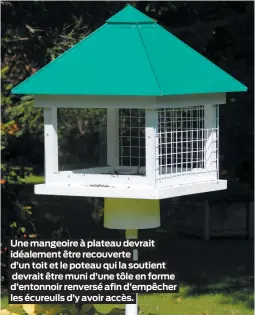  ??  ?? Une mangeoire à plateau devrait idéalement être recouverte d’un toit et le poteau qui la soutient devrait être muni d’une tôle en forme d’entonnoir renversé afin d’empêcher les écureuils d’y avoir accès.