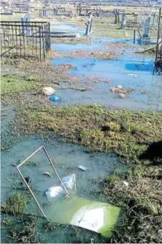  ?? Picture: SUPPLIED ?? GRAVES SINKING: Graves covered in sewage at the Mlungisi Cemetery
