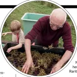  ??  ?? Pierre Overnoy gehört zu den Legenden des Jura. Seine Naturweine sind heute gesuchte Raritäten.