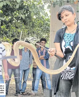  ??  ?? Manisha Nathwani, a housewife in Thane, is one of a new generation of snake rescuers.