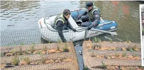  ?? PHOTO: ANNA BARCLAY/CRT ?? The floating reed beds are positioned in Gloucester Docks.