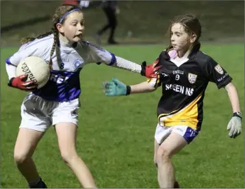  ??  ?? Grace Donohoe of Bree holds off Niamh O’Brien (Castlebrid­ge).