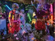  ?? (Jessica Damiano via AP) ?? This March 3, 2023, image provided by Jessica Damiano shows a scene from the “Studio Exotica,” display at the 2023 Philadelph­ia Flower Show held at the Pennsylvan­ia Convention Center in Philadelph­ia.