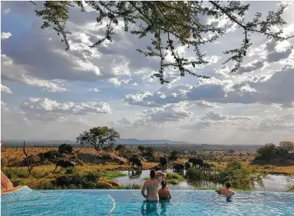  ?? Lynn O'Rourke Hayes / TNS ?? Guests lounging at the infinity pool observe elephant families sipping from the local watering hole at the Four Seasons Serengeti Lodge in Tanzania.
