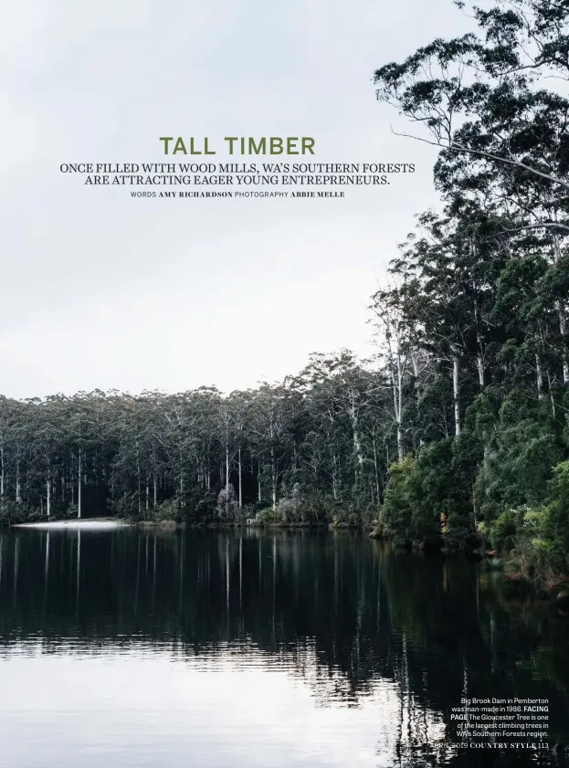  ?? PHOTOGRAPH­Y ABBIE MELLE ?? Big Brook Dam in Pemberton was man-made in 1986. FACING PAGE The Gloucester Tree is one of the largest climbing trees in WA’S Southern Forests region.