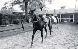  ?? William A. Smith Associated Press ?? EXERCISE RIDER Mike Kennedy, shown on Seattle Slew before the 1977 Preakness, had to sneak into Belmont Park because of a strike by parimutuel clerks.