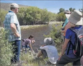  ?? Don Kelsen
Los Angeles Times ?? GEOFFREY McQUILKIN, left, of the Mono Lake Committee watches Arya Degenhardt check the temperatur­e of Rush Creek, a Mono Lake feeder stream.