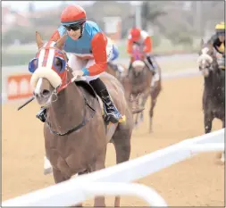  ??  ?? EXIT HERE, with Anton Marcus in the saddle, on his way to victory on the Greyville poly in August.