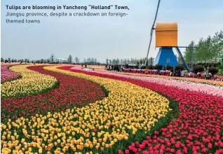  ??  ?? Tulips are blooming in Yancheng “Holland” Town, Jiangsu province, despite a crackdown on foreignthe­med towns