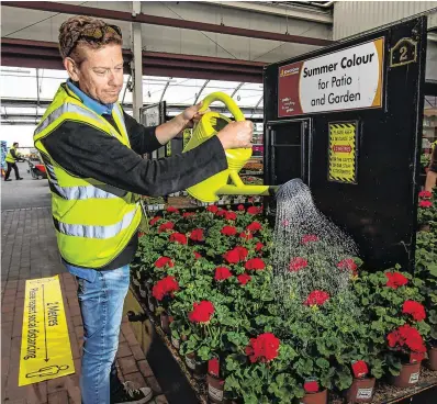  ?? PHOTO: MARK CONDREN ?? April showers bring May flowers: Aidan Beehan getting Johnstown Garden Centre ready for reopening on May 18.