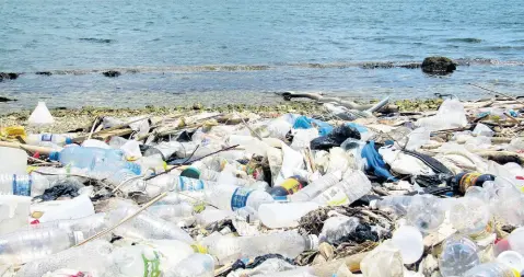  ?? CONTRIBUTE­D ?? Plastics pollution represents a growing problem for Jamaica.