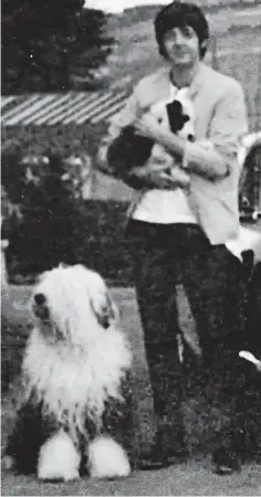  ??  ?? She woofs you: Paul McCartney holds his new pup