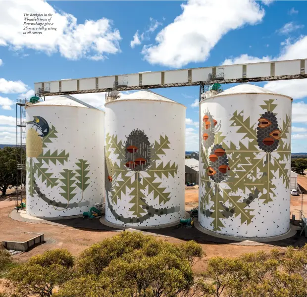  ??  ?? The banksias in the Wheatbelt town of Ravensthor­pe give a 25-metre-tall greeting to all comers.