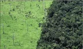  ??  ?? Le Brésil abrite 63 % du réservoir de biodiversi­té qu’est l’Amazonie.