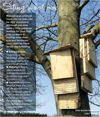  ??  ?? Providing an artificial roost site for bats can be very successful, although you may need a little patience waiting for your first bats to move in. Having more than one box increases your chances.Think about the following:
Materials
Site boxes beyond cats’ reach