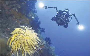  ?? (Photo Yann video) ?? Au cours de ces quatre jours consacrés au monde sous-marin et au patrimoine, des jurés désigneron­t les lauréats des concours photo et vidéo. Ici une ambiance spinograph­e signée Yann video.