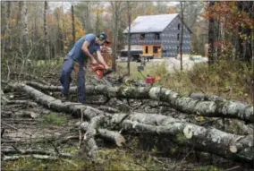  ?? ROBERT F. BUKATY — THE ASSOCIATED PRESS ?? Pat Durham cuts pine tree that fell on Corey and Rachel Graham’s land in Freeport, Maine, Monday. The storm toppled more than 20pine trees on the lot but caused only minor damage to their property.