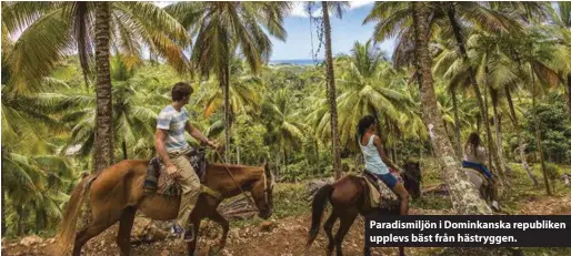  ??  ?? Paradismil­jön i Dominkansk­a republiken upplevs bäst från hästryggen.