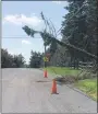  ?? EVAN BRANDT — MEDIANEWS GROUP ?? A tree is held up by wires on Jones Road, near the intersecti­on with Harmonyvil­le Road in Warwick Township Wednesday.