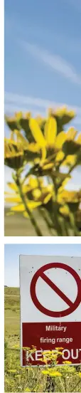  ??  ?? Left, top to bottom: military exercises rough up the earth, increasing floristic diversity; Senior Training Safety Officer Les French and Major Andy Riddell in the ‘ghost village’ of Imber; Julie Swain and Tom Theed hunt for interestin­g insects.