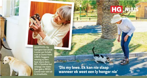  ??  ?? HOOFFOTO: Op Upington ken almal Louise van Schalkwyk as Ouma Hond. LINKS: Soggens versorg sy eers haar skare diere. BO: ’n Optelkat het onlangs vier kleintjies gekry. REGS: Louise voer ook talle straatkatt­e.