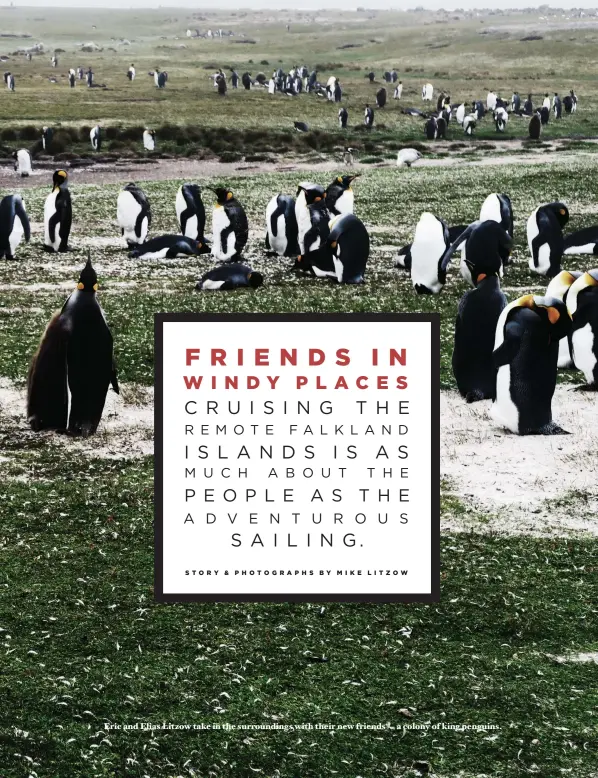  ??  ?? Eric and Elias Litzow take in the surroundin­gs with their new friends — a colony of king penguins.