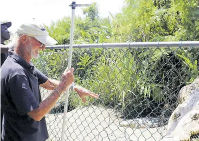 ‘CROCS ARE SHY’ - PressReader