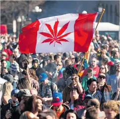  ?? CHRIS ROUSSAKIS / AFP / GETTY IMAGES FILES ?? There are still many questions and apprehensi­on surroundin­g Canada’s intentions to legalize marijuana.