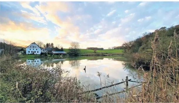  ?? FOTO: RUHNAU ?? Der Rundweg durch das Rotthäuser Bachtal gehört zu den schönsten Spazierweg­en in Düsseldorf. Hier ein Blick auf Gut Papendelle.