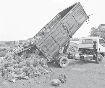  ??  ?? CPO stocks declined 2.48 per cent to 978,829 tonnes last month while that of processed palm oil increased 12.99 per cent to 861,548 tonnes. — Bloomberg photo