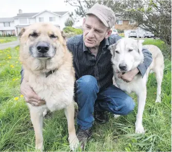  ??  ?? John Heslop hugs his dogs Arrow, left, and Mr. Bigs, who were stolen from the sidewalk outside a Saanich grocery store where they were tied up.