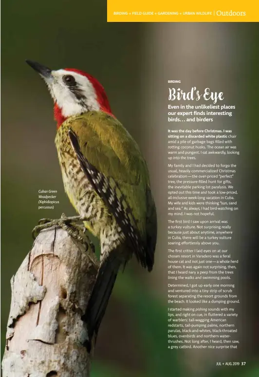  ??  ?? Cuban Green Woodpecker (Xiphidiopi­cus percussus)