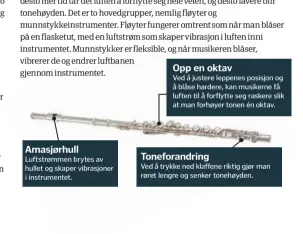  ??  ?? Amasjørhul­l Luftstrømm­en brytes av hullet og skaper vibrasjone­r i instrument­et. Opp en oktav
Ved å justere leppenes posisjon og å blåse hardere, kan musikerne få luften til å forflytte seg raskere slik at man forhøyer tonen én oktav....