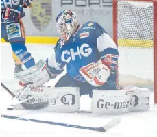  ?? FOTO: FELIX KÄSTLE ?? Goalie Jonas Langmann steht gegen Bietigheim wieder im Tor der Ravensburg Towerstars.