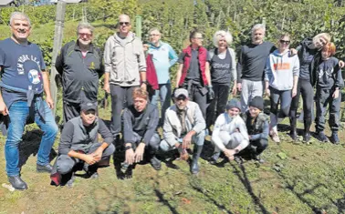  ?? ?? U vinogradu Zlatka Viteza bralo se grožđe. Krauthaker sigurno mirno ne spava jer stiže Histrionče­k