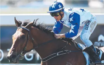  ?? Picture: AAP ?? TOP RIDE: Jockey Matthew McGillivra­y has scored another victory aboard Havasay.