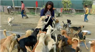  ?? PTI ?? With around 50 dogs at Pam-Posh and some 80-odd dogs at Nirvana, Aditi Badam and her team find little time to do anything else. —