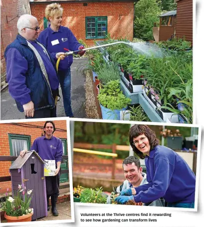 ??  ?? Volunteers at the Thrive centres find it rewarding to see how gardening can transform lives