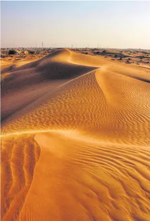  ??  ?? SANDS OF TIME: Explore Ras al-Khaimah’s golden dunes on horseback