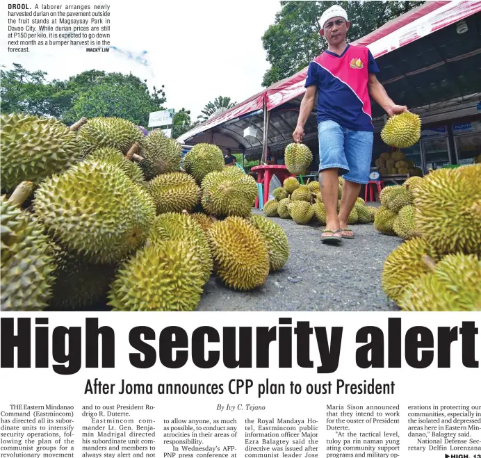  ?? MACKY LIM ?? DROOL. A laborer arranges newly harvested durian on the pavement outside the fruit stands at Magsaysay Park in Davao City. While durian prices are still at P150 per kilo, it is expected to go down next month as a bumper harvest is in the forecast.