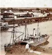  ?? SUPPLIED ?? The Gairloch unloads cattle at Waitara’s cattle wharf in the 1890s.