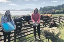  ??  ?? Toni, Marta and Andrea have been helping out at the hotel, feeding the Highland cos and goats.