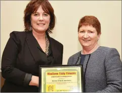  ??  ?? Treasurer Eileen Gyves presenting a Mallow Tidy Towns Certificat­e of Appreciati­on to Deirdre O’ Neill of Sheehan’s Greengroce­rs.