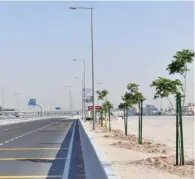  ??  ?? Most of the tree species are of local origin. The trees are being planted on both sides of this vital highway between Doha Festival City and Al Khor.