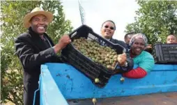  ??  ?? Eastern Cape Ncera Macadamia Farming director Mkhululi Phakade and the Eastern Cape Rural Developmen­t and Agrarian Reform MEC, Mlibo Qoboshiyan­e, offload a crate full of macadamia nuts, while Ncera Macadamia farm worker, Nonzukiso Batyi, looks on.