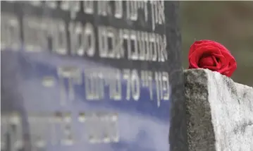  ?? (Reuters) ?? A RED ROSE is pictured during the March of the Living to honor Holocaust victims in Paneriai, near Vilnius, Lithuania, in 2012.