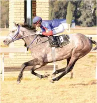  ??  ?? Lord Silverio should prove very hard to outrun when he runs at the Vaal today. / JC PHOTOGRAPH­ICS