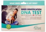  ?? ORIVET VIA AP ?? This image provided by Orivet shows the Breed Identifica­tion DNA Test kit. The kit helps identify the breeds of dogs via DNA testing. If you’re stumped for a holiday gift, why not reach for the stuff of life, DNA. Gift ideas are plentiful, from coffee...
