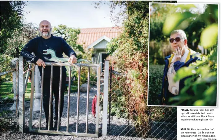  ?? FOTO: YLVA BERGMAN ?? PYSSEL. Kerstin Palm har satt upp ett insektshot­ell på utsidan av sitt hus. Dock finns inga incheckade gäster här.
NÖJD. Nicklas Jensen har haft sin kolonilott i 25 år, och har inga planer på att släppa den.