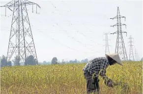  ?? REUTERS ?? A farmer works in a paddy field under the power lines near the Nam Theun 2 dam in Khammouane province on Oct 28, 2013.